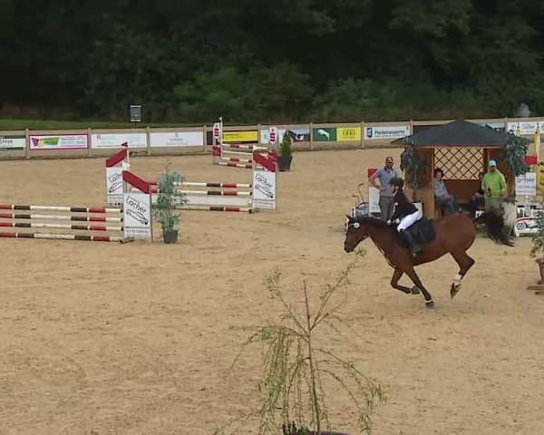 Reitturnier Tiefenhof/Opf. 2025