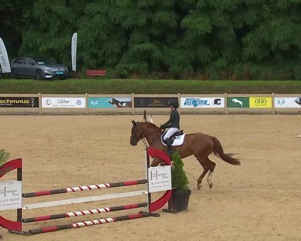 Reitturnier Tiefenhof/Opf. 2025