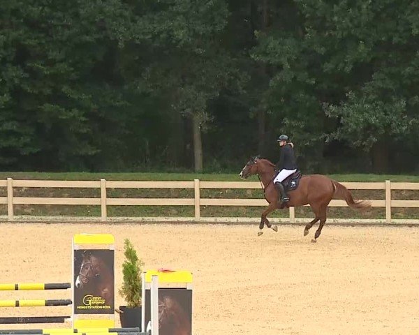 Reitturnier Tiefenhof/Opf. 2025