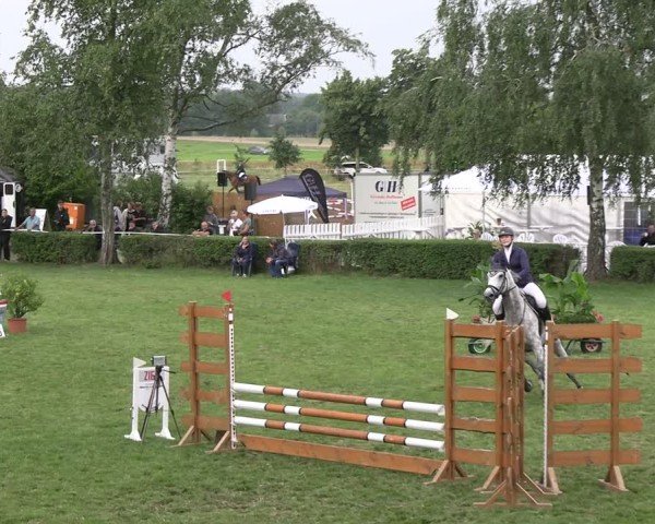 Reitturnier Etingen 2025