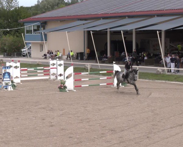 Reitturnier Lassee 2025