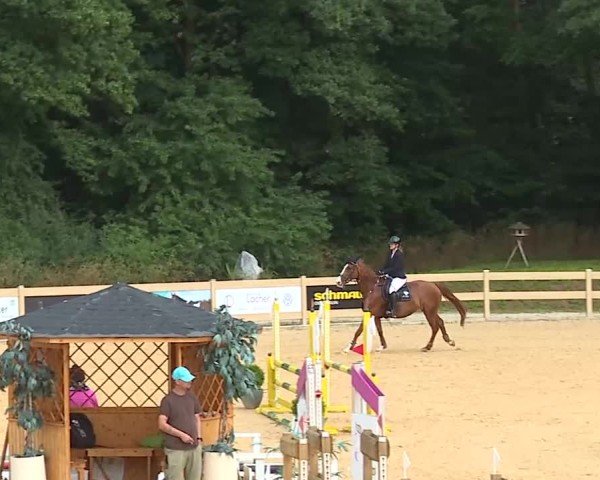 Reitturnier Tiefenhof/Opf. 2025