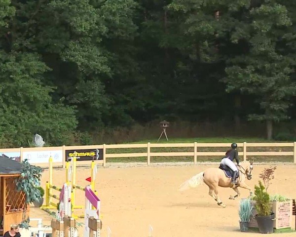 Reitturnier Tiefenhof/Opf. 2025