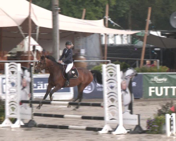 Reitturnier Olfen-Vinnum 2025