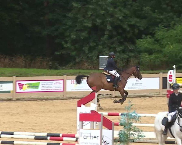 Reitturnier Tiefenhof/Opf. 2025
