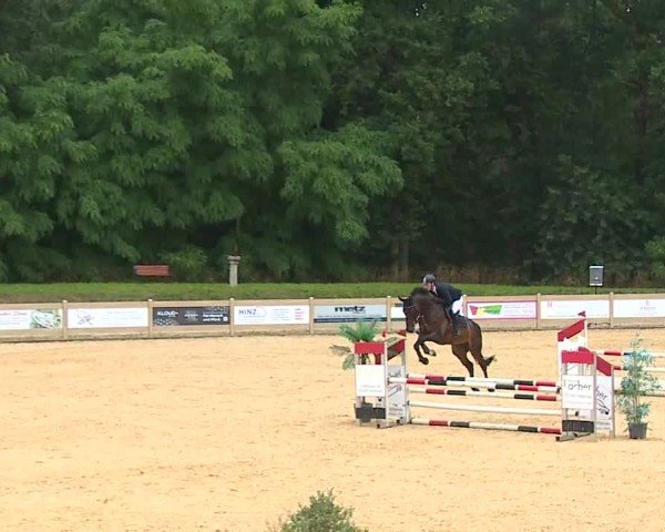 Reitturnier Tiefenhof/Opf. 2025