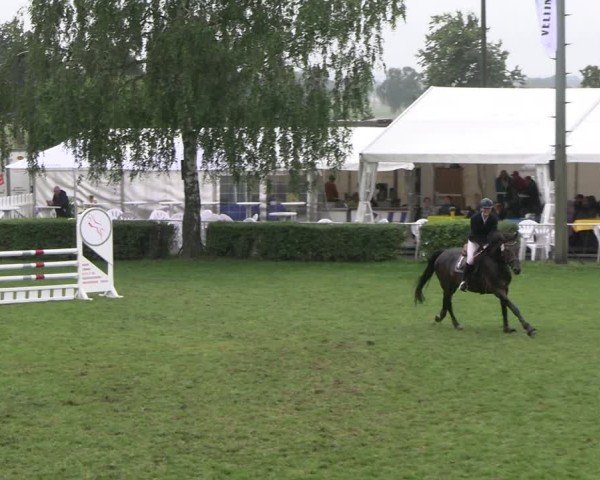 Reitturnier Etingen 2025