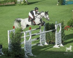 Springpferd Big Balou 7 (Rheinländer, 2013, von Balou du Rouet)