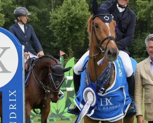 Pferd van Schijndel's Offield (KWPN (Niederländisches Warmblut), 2019, von Diamant de Semilly)