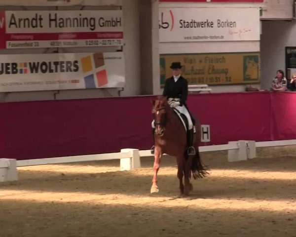 Pfingst - Dressur und Springturnier Borken 2014