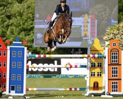 jumper I Am (KWPN (Royal Dutch Sporthorse), 2013, from Etoulon VDL)