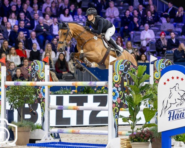 Springpferd Kwanta Kosta Pr (KWPN (Niederländisches Warmblut), 2015, von Thunder van de Zuuthoeve)