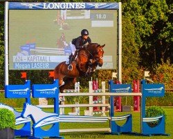 jumper Kapitaal L (KWPN (Royal Dutch Sporthorse), 2015, from Cornet Obolensky)