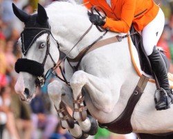 jumper Bleu Bayou (KWPN (Royal Dutch Sporthorse), 2006, from Berlin)