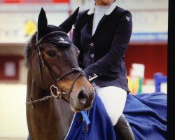 broodmare Walt Disney (KWPN (Royal Dutch Sporthorse), 2003, from Koriander)