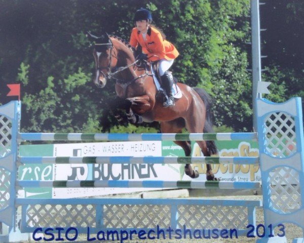 Springpferd Georgia (Westfale, 2003, von Luron)