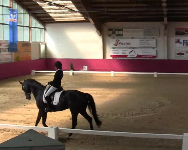 Pfingst - Dressur und Springturnier Borken 2014