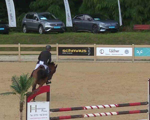 Reitturnier Tiefenhof/Opf. 2025