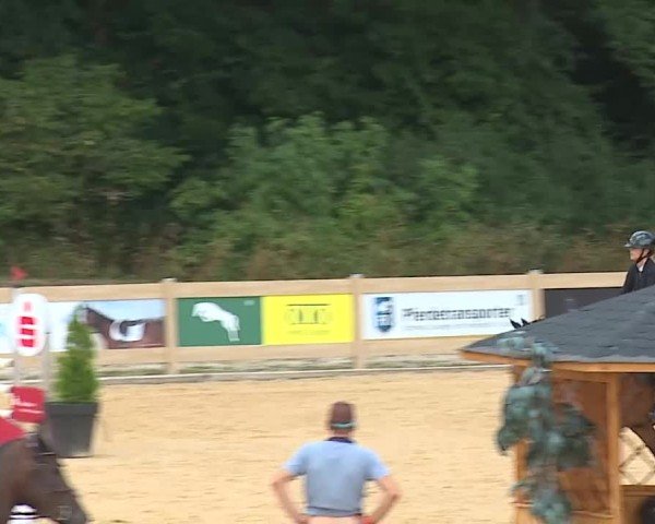 Reitturnier Tiefenhof/Opf. 2025