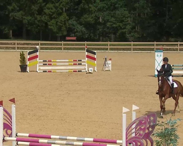 Reitturnier Tiefenhof/Opf. 2025