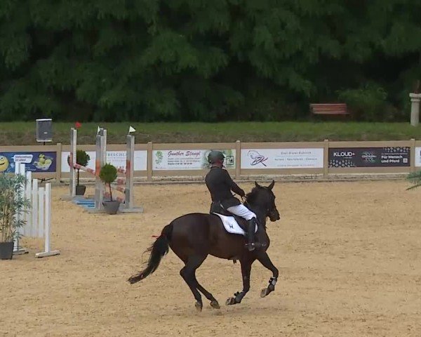 Reitturnier Tiefenhof/Opf. 2025