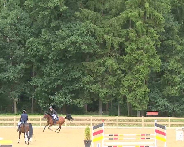Reitturnier Tiefenhof/Opf. 2025