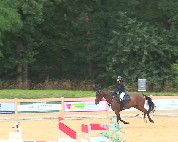 Reitturnier Tiefenhof/Opf. 2025