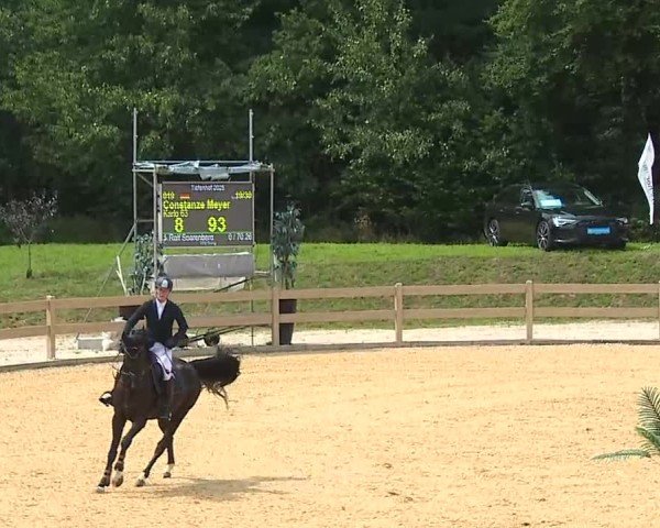 Reitturnier Tiefenhof/Opf. 2025