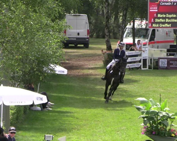 Reitturnier Etingen 2025