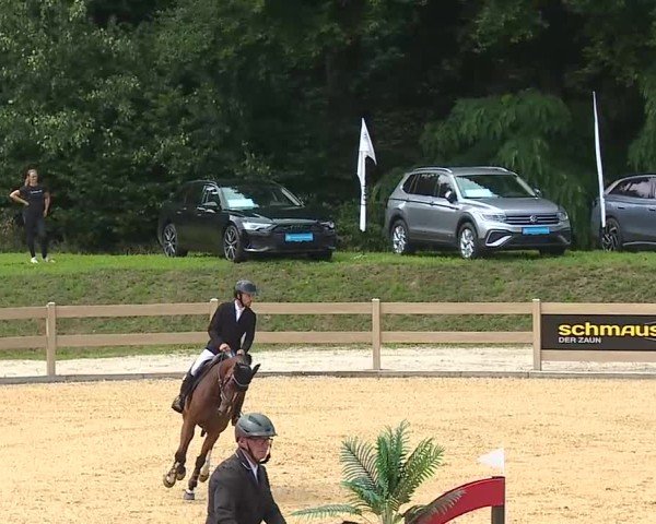 Reitturnier Tiefenhof/Opf. 2025