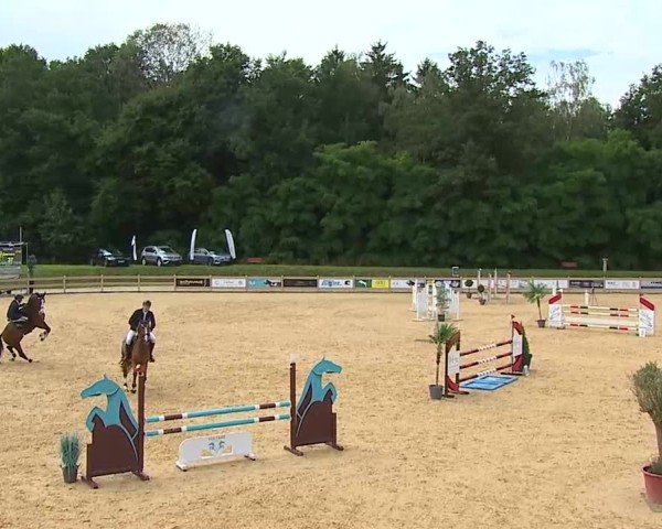 Reitturnier Tiefenhof/Opf. 2025