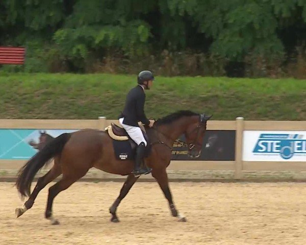 Reitturnier Tiefenhof/Opf. 2025