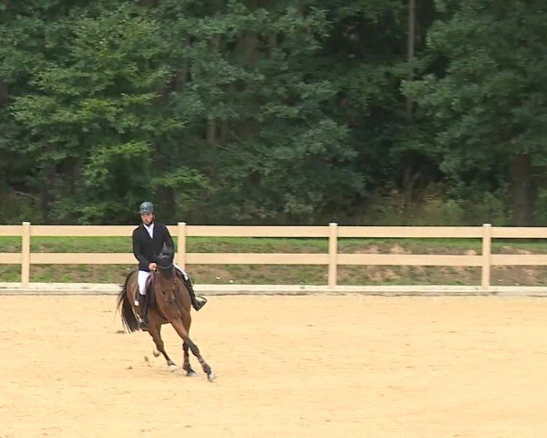 Reitturnier Tiefenhof/Opf. 2025