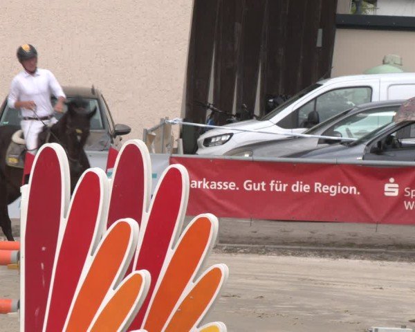 Reitturnier Olfen-Vinnum 2025