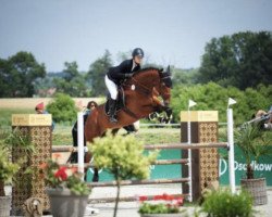 jumper Grogory (KWPN (Royal Dutch Sporthorse), 2011, from Up To Date)