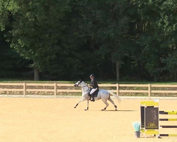 Reitturnier Tiefenhof/Opf. 2025