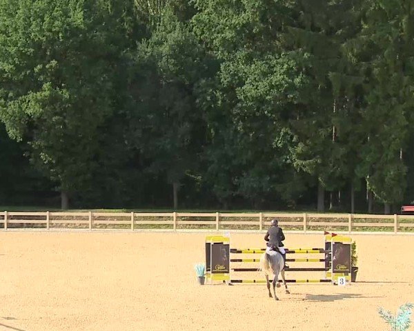 Reitturnier Tiefenhof/Opf. 2025
