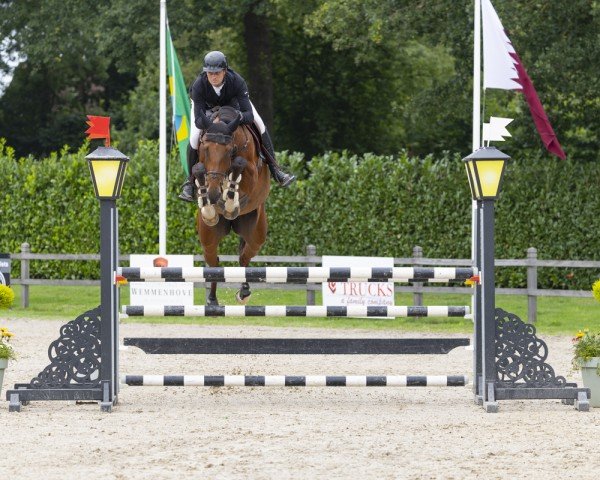 jumper Cusallina (Holsteiner, 2018, from Cullinan du Borget B)