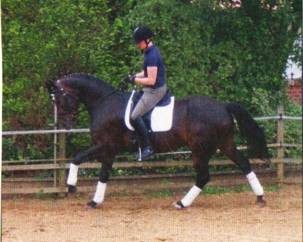 dressage horse Roserion (Oldenburg, 2007, from Rosario 37)