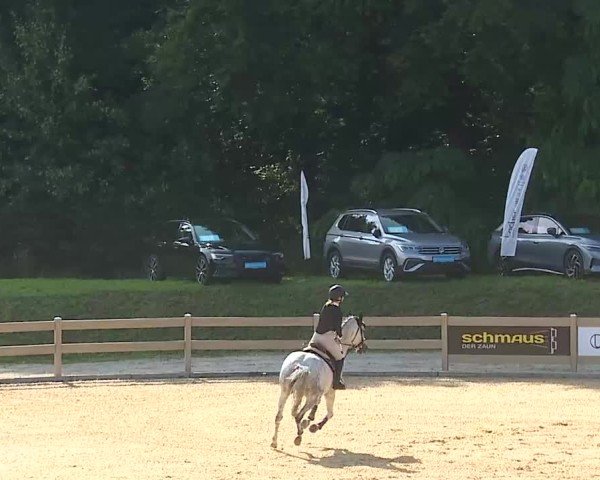 Reitturnier Tiefenhof/Opf. 2025