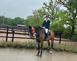 jumper Quiberra (Holsteiner, 2017, from Quibery 3)