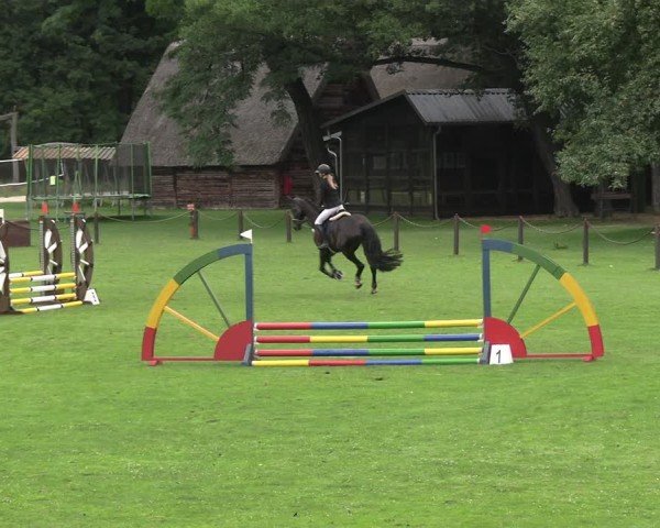 Reitturnier Gallinchen 2025