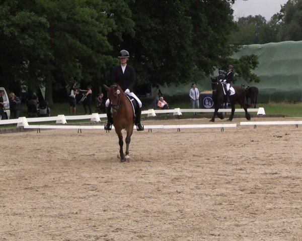 Reitturnier Gallinchen 2025