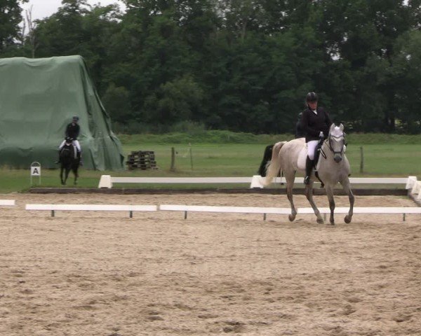 Reitturnier Gallinchen 2025