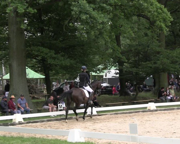 Reitturnier Gallinchen 2025
