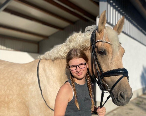 dressage horse Karlinchen S (German Riding Pony, 2020, from Daim At)