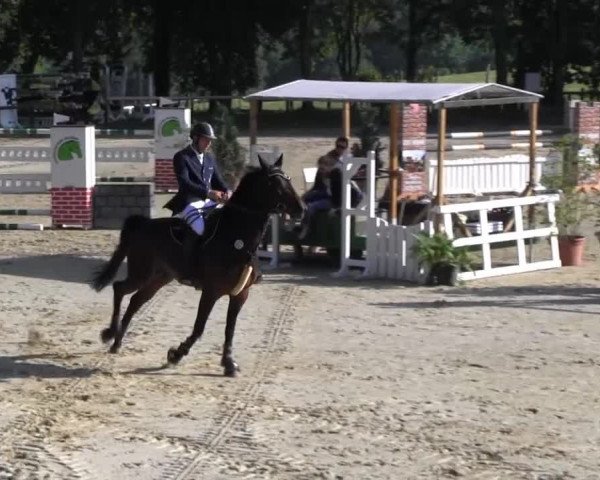 Erkrath - Uhlenhof 2014