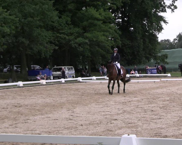 Reitturnier Gallinchen 2025