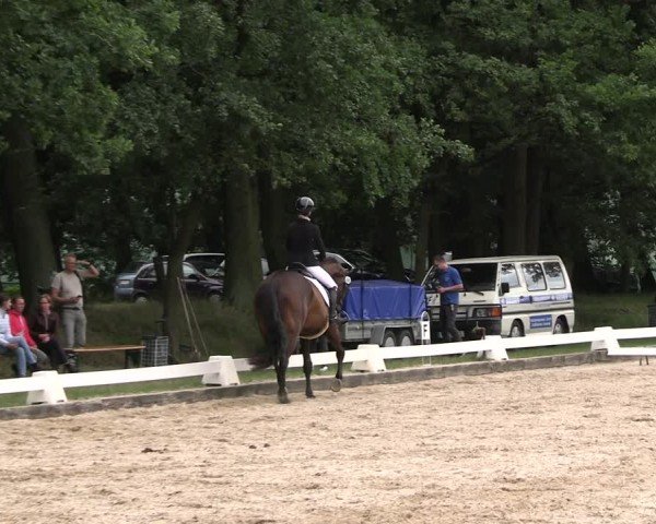 Reitturnier Gallinchen 2025