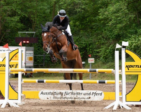 Springpferd Amy Solei (Westfale, 2017, von A La Carte NRW)